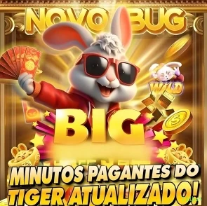 Suporte 711bet